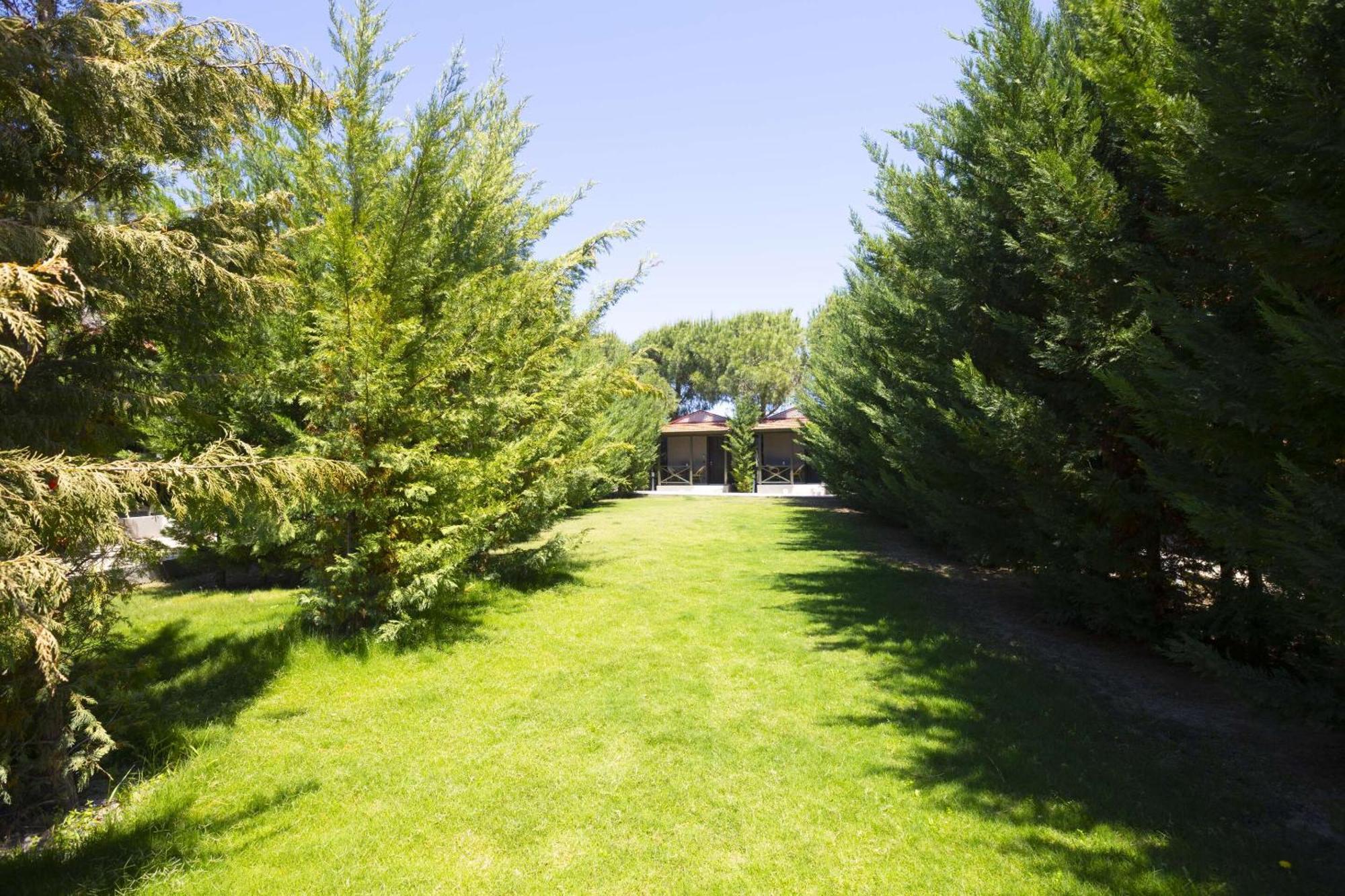 Aegean Apartments - Bungalows Alaçatı Pokój zdjęcie
